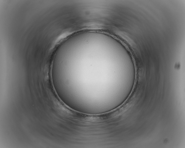 X0000097611451200803141928