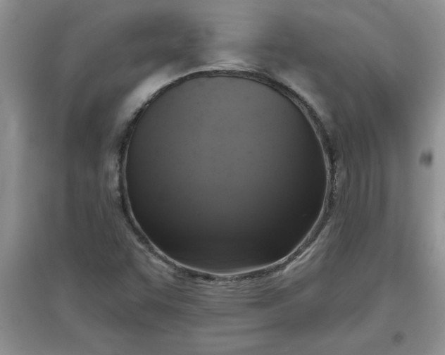 X0000097611455200803141928