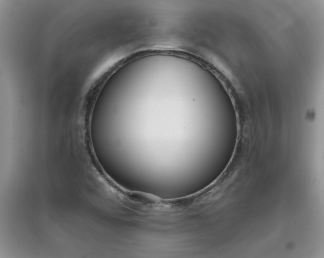 X0000097611456200803141928