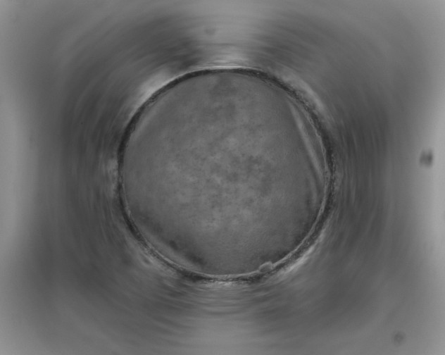 X0000097611457200803141928