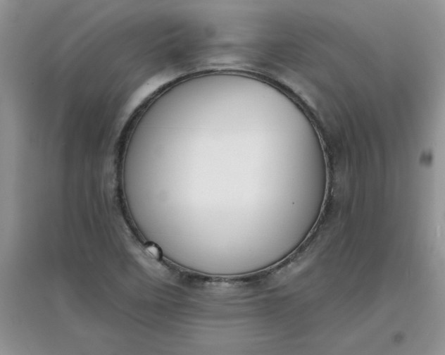 X0000097611458200803141928