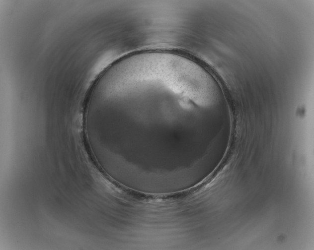 X0000097611459200803141928