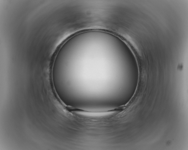 X0000097611460200803141928