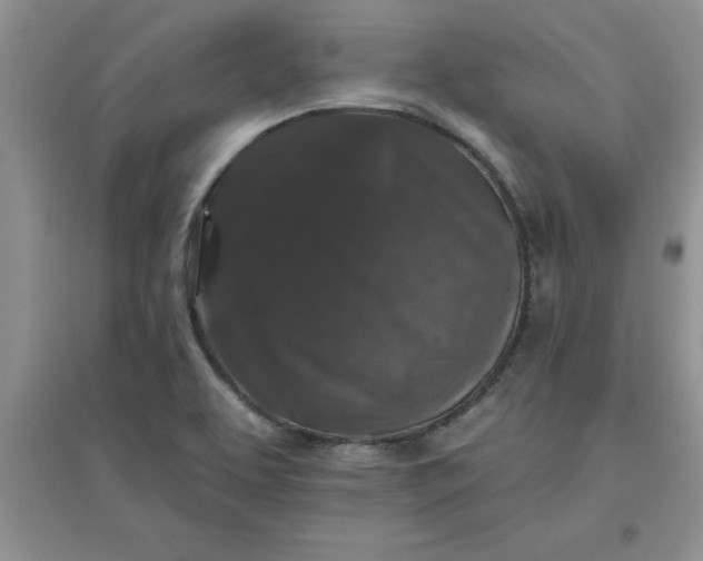 X0000097611463200803141928