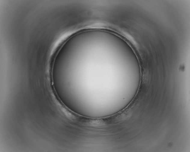 X0000097611464200803141928