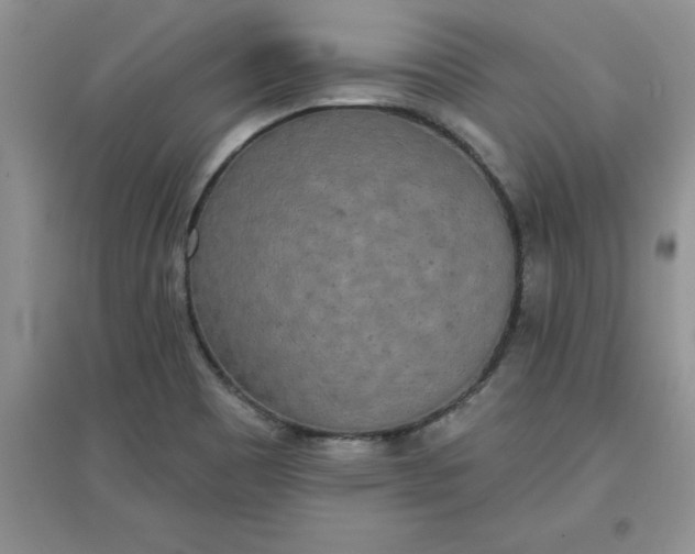 X0000097611465200803141928