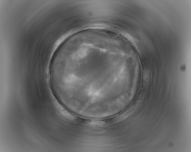 X0000097611466200803141928