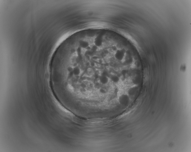 X0000097611467200803141928