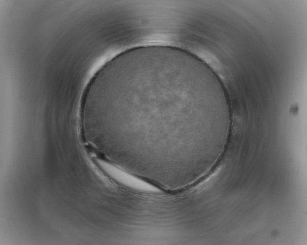 X0000097611469200803141928