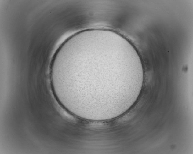 X0000097611470200803141928