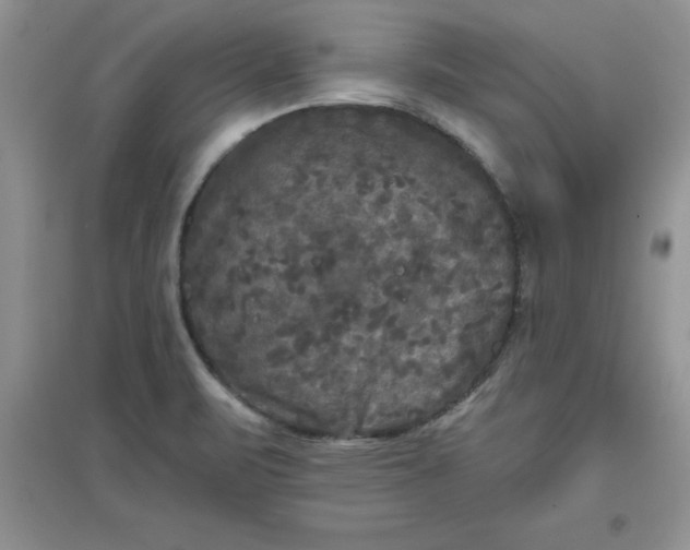 X0000097611471200803141928