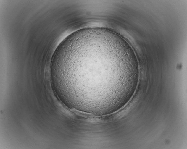 X0000097611473200803141928