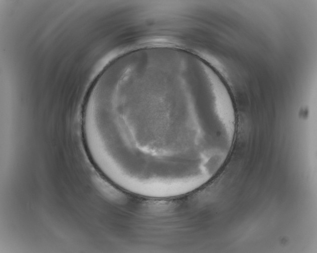 X0000097611474200803141928