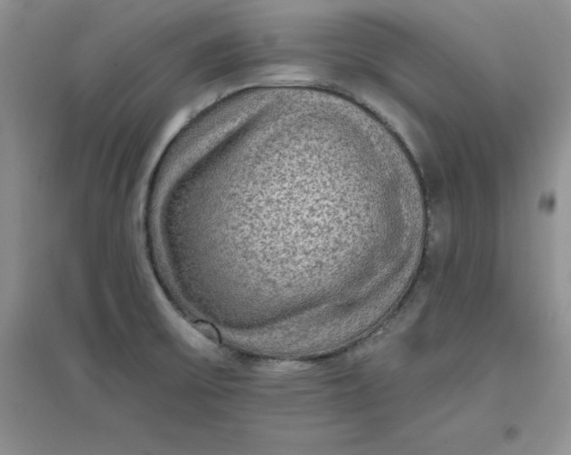 X0000097611475200803141928