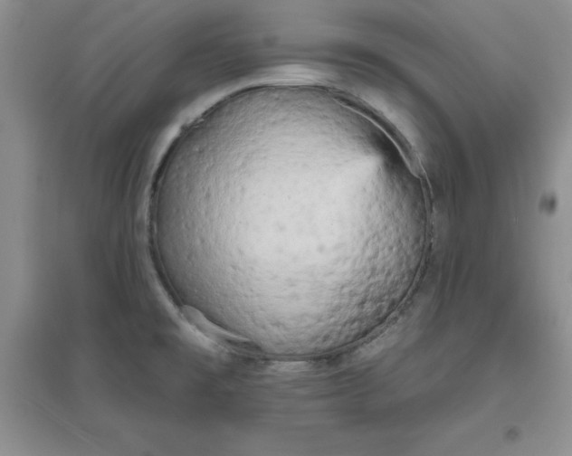 X0000097611477200803141928