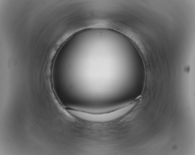 X0000097611480200803141928