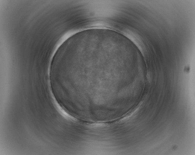 X0000097611482200803141928