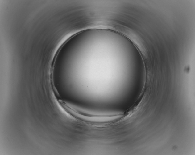 X0000097611484200803141928