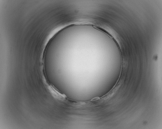 X0000097611485200803141928