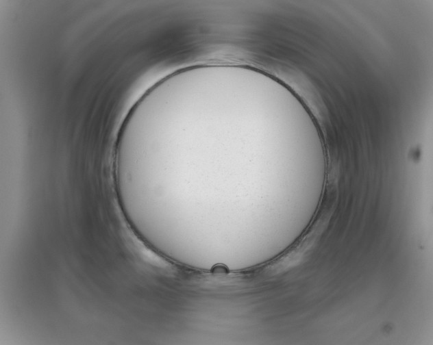 X0000097611486200803141928