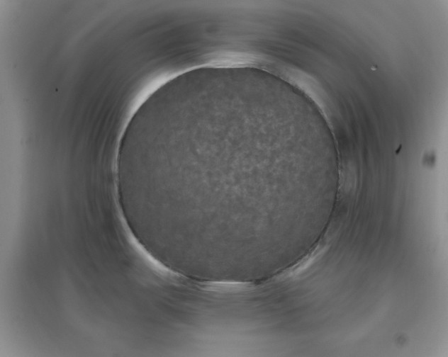 X0000097611487200803141928