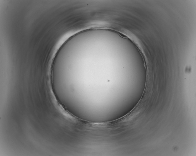 X0000097611488200803141928