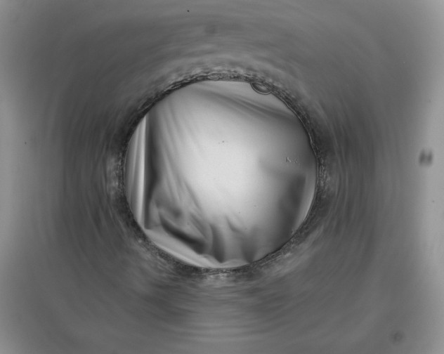 X0000097611490200803141927