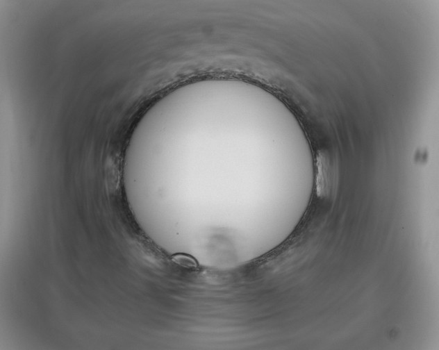 X0000097611491200803141927