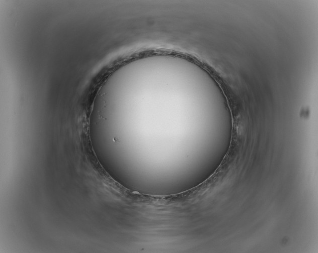 X0000097611495200803141927