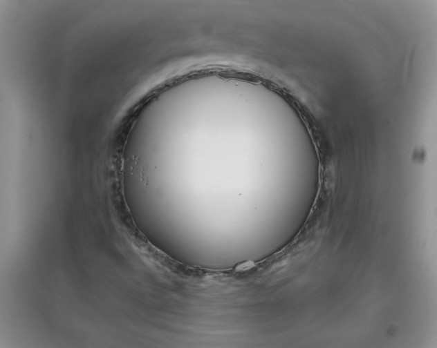 X0000097611496200803141927