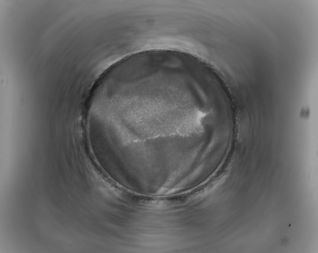 X0000097611497200803141927