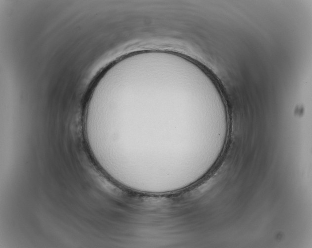 X0000097611498200803141927