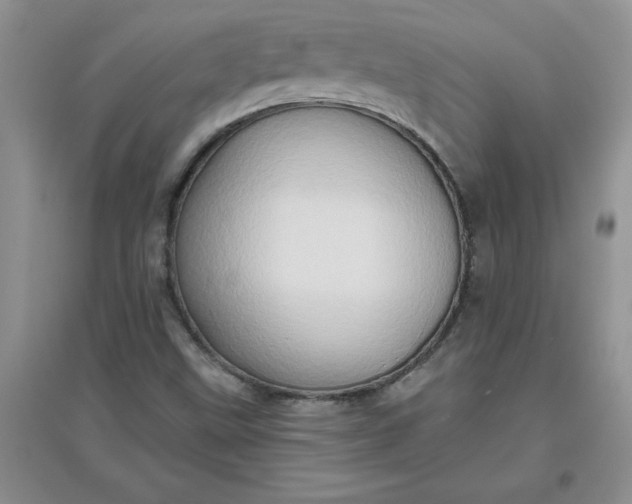 X0000097611499200803141927