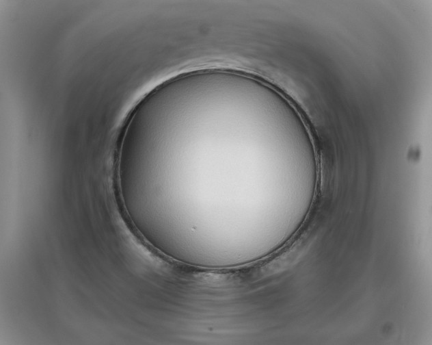 X0000097611500200803141927