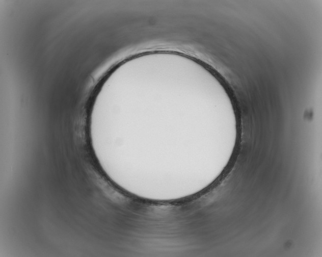 X0000097611502200803141927