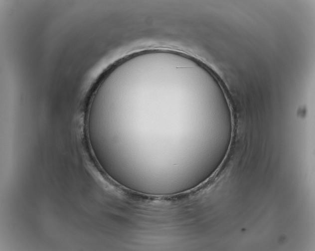 X0000097611503200803141927