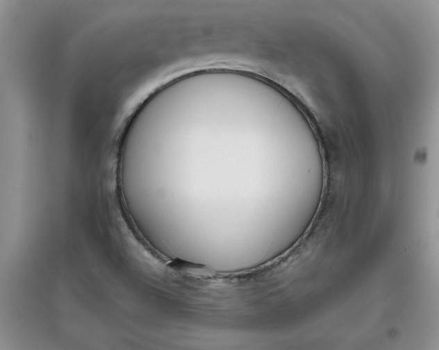 X0000097611504200803141927