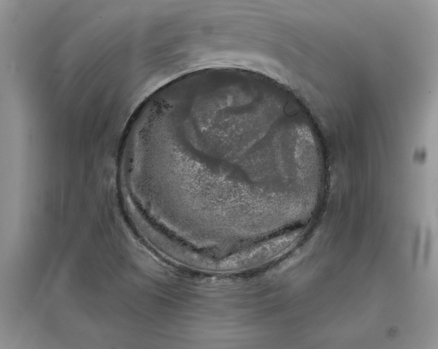 X0000097611505200803141927