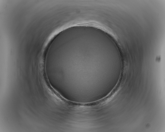 X0000097611506200803141927