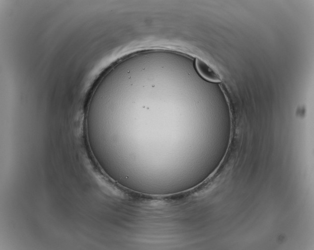 X0000097611507200803141927