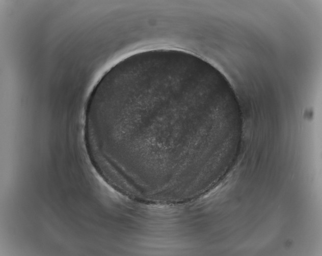 X0000097611508200803141927