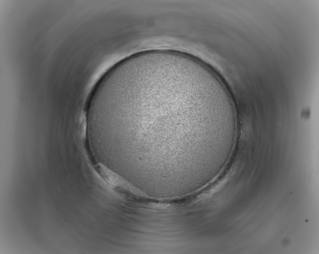 X0000097611509200803141927