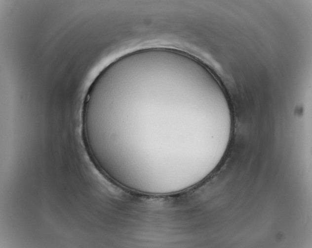 X0000097611512200803141927