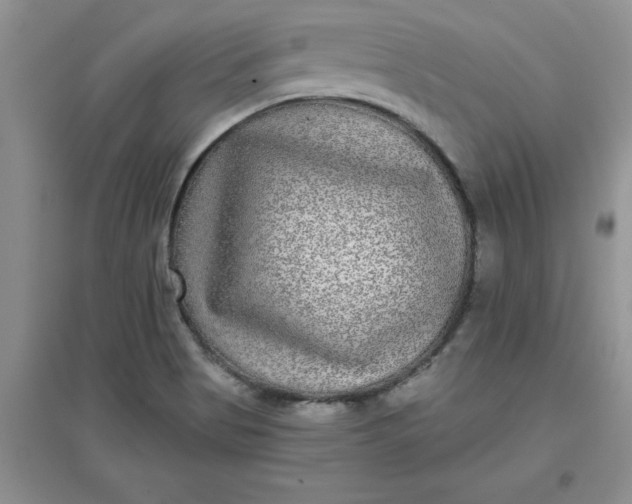 X0000097611513200803141927