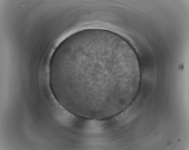 X0000097611514200803141927