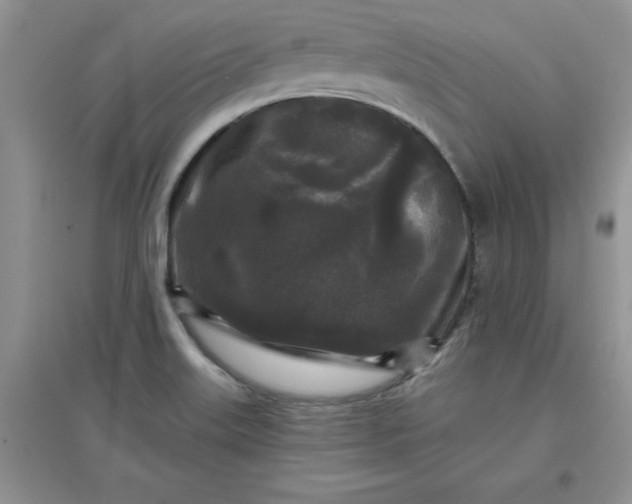 X0000097611515200803141927