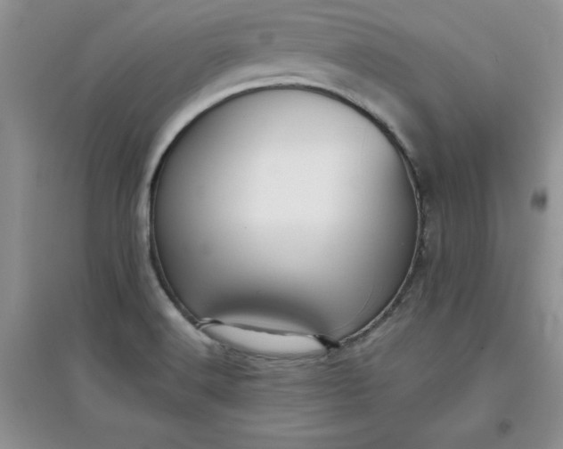 X0000097611516200803141928