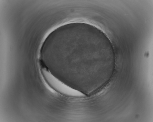 X0000097611519200803141928