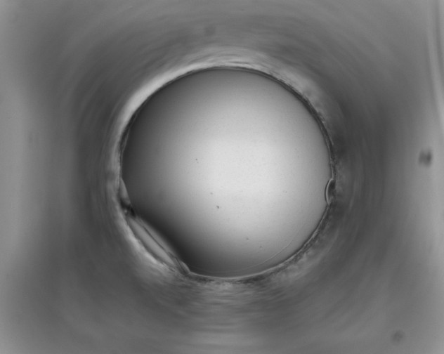 X0000097611520200803141928