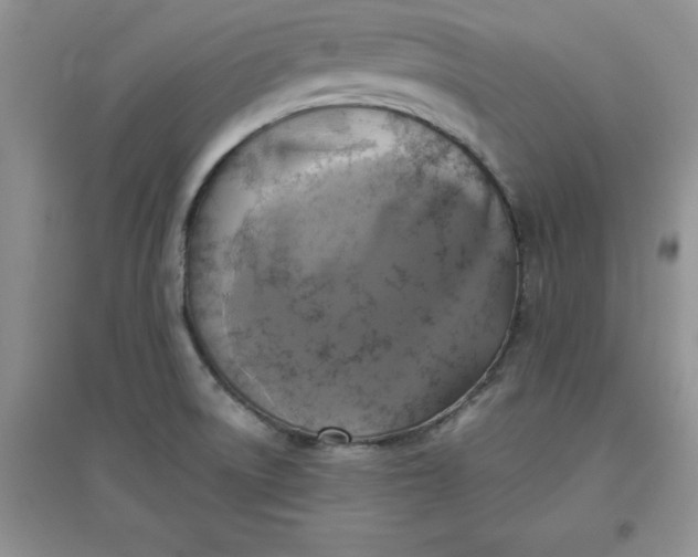 X0000097611522200803141928